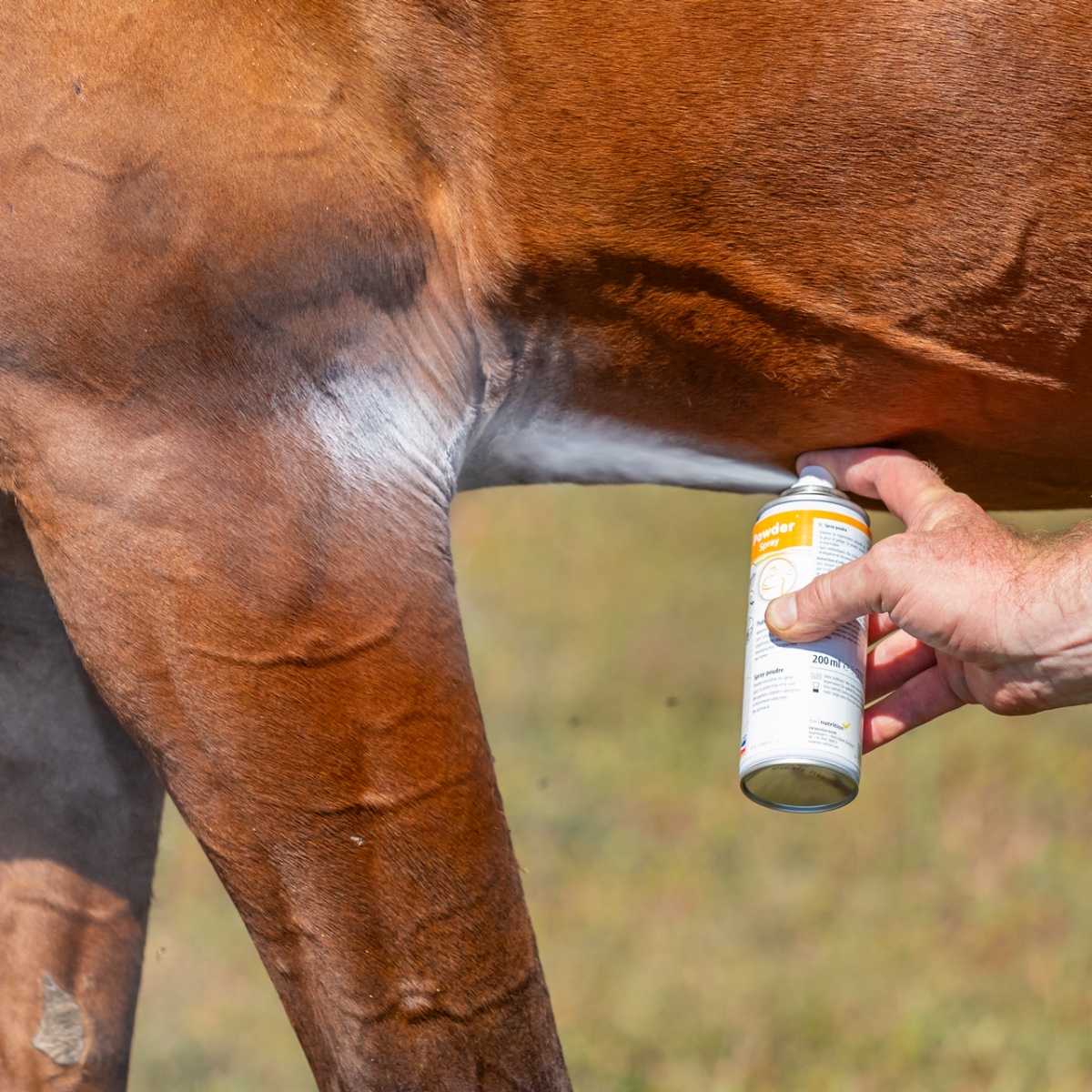 Spray Powder - protecție și îngrijire pentru pielea sensibilă a animalelor, 200 ml