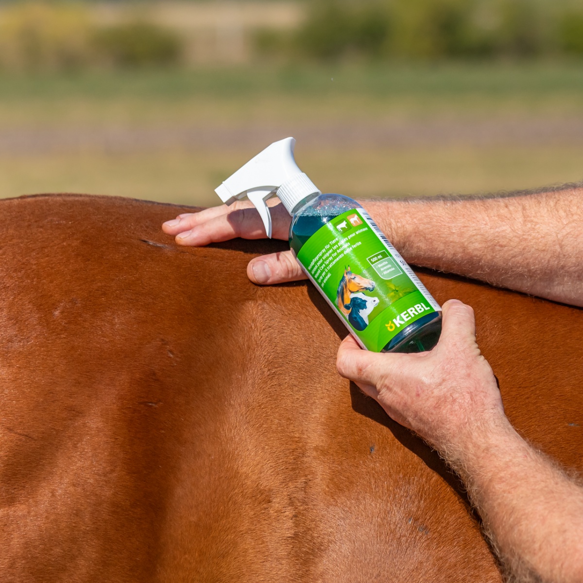 Spray pentru îngrijirea rănilor, Kerbl, 500 ml