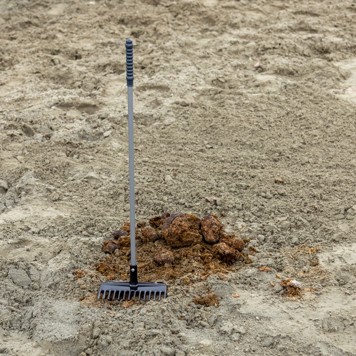Greblă pentru curățare bălegar, Mistboy, negru, 75 cm