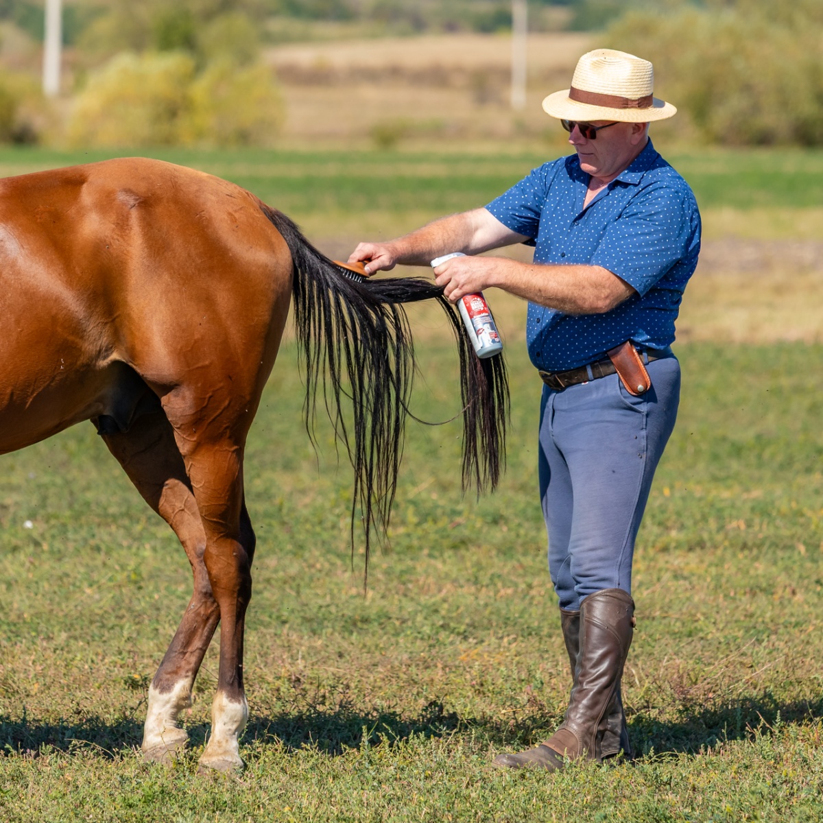 Spray pentru îngrijirea coamei, aromă FrenchKiss, MagicBrush, 500 ml