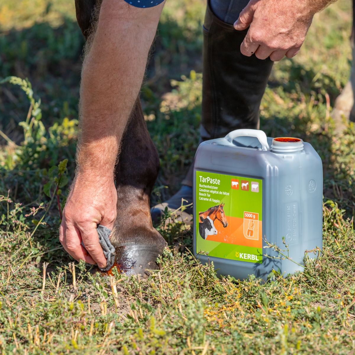 Pastă de gudron de fag, TarPaste, 5 kg