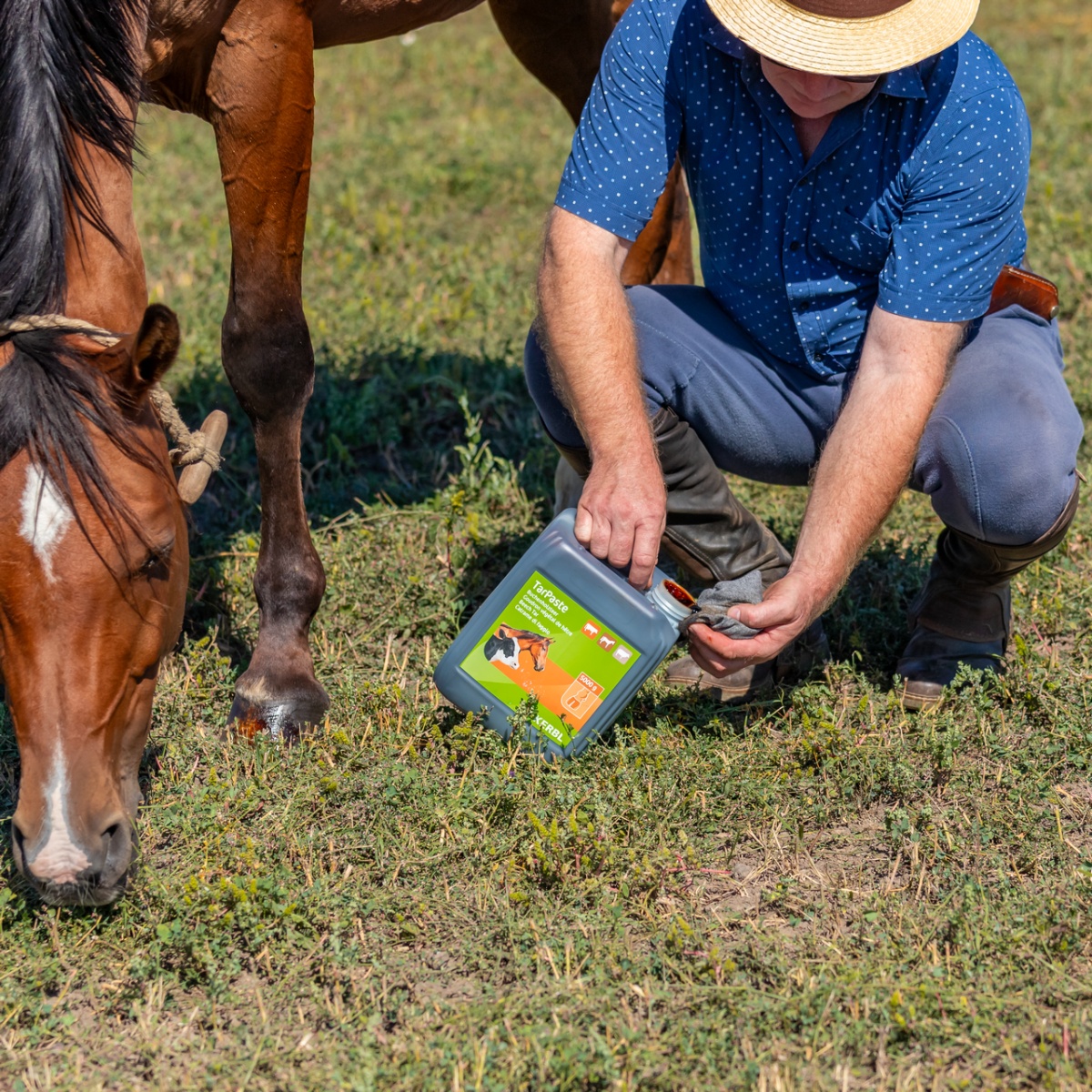 Pastă de gudron de fag, TarPaste, 5 kg