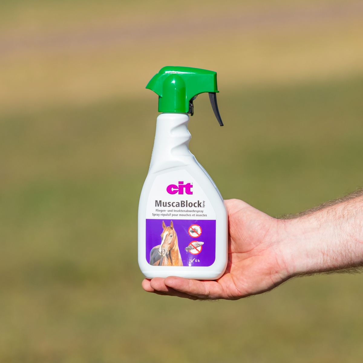 Spray împotriva muștelor, CIT MuscaBlock, 500 ml