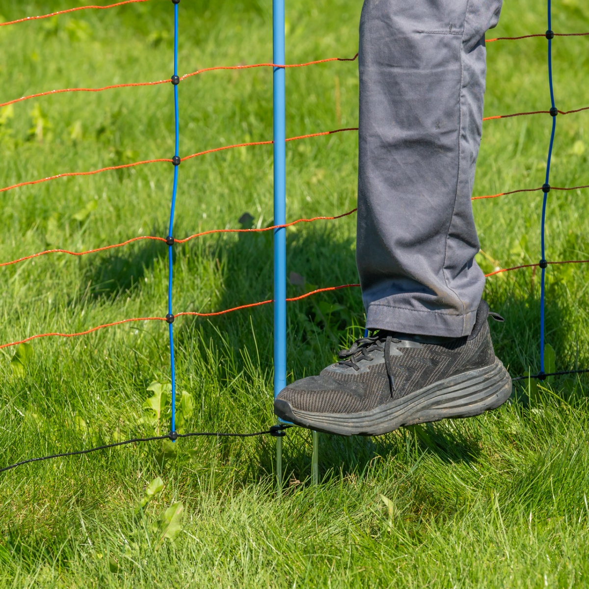 Plasă gard electric, TitanNet Premium, 50 m × 108 cm