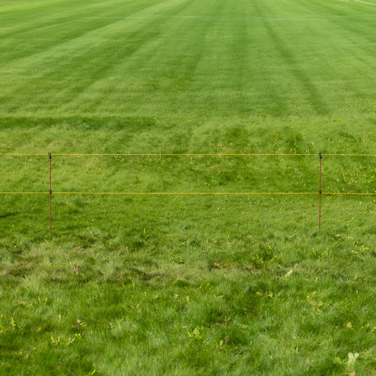 Stâlp din oțel, pentru gard electric, Ø8 mm × 107 cm