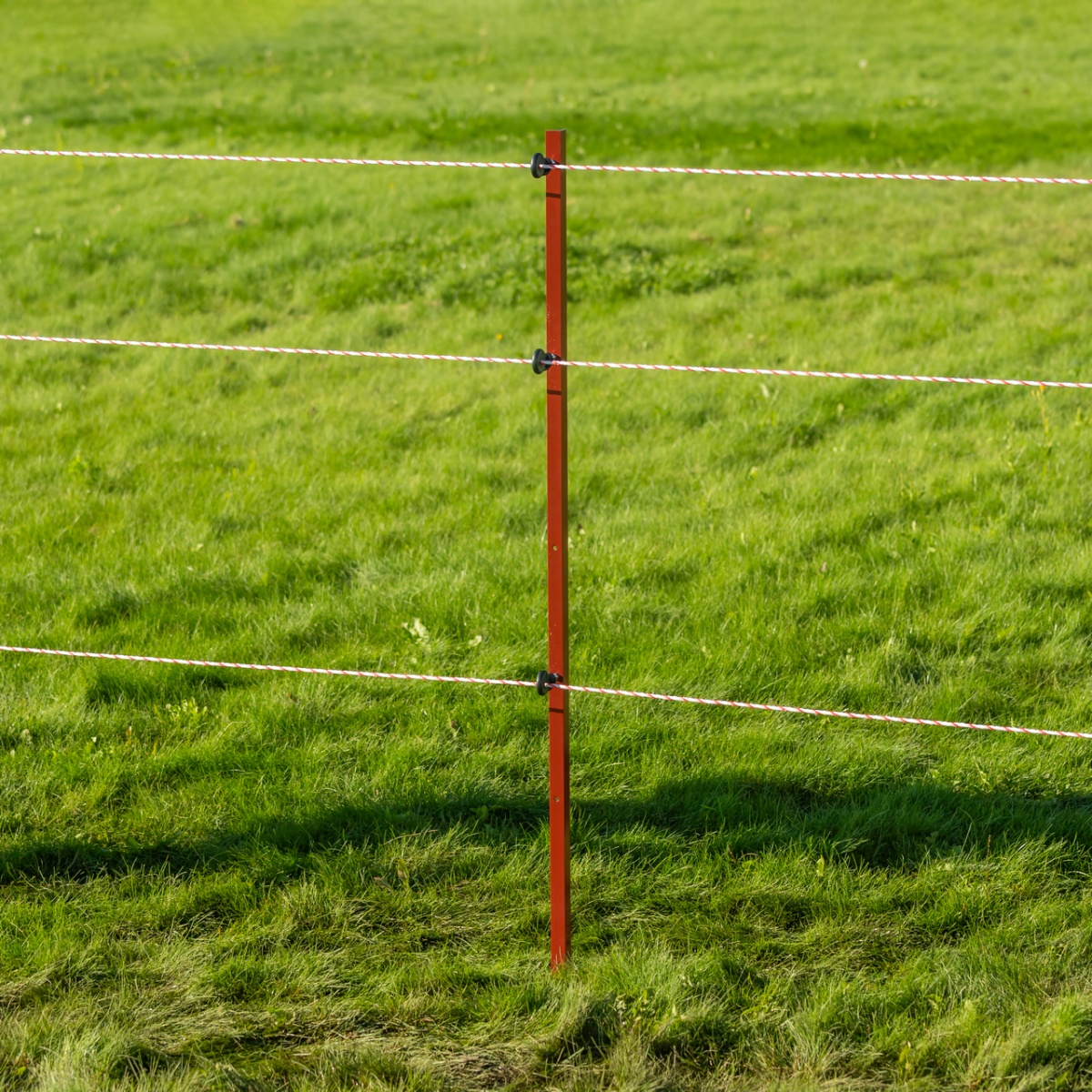 Stâlp din oțel cornier 25 × 25 mm, 165 cm, 10 buc.