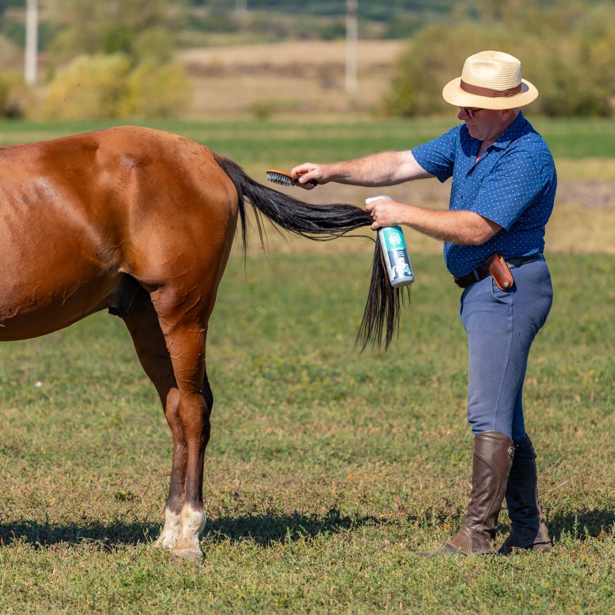 Spray pentru lustruirea părului, MagicBrush Manecare, 1000 ml