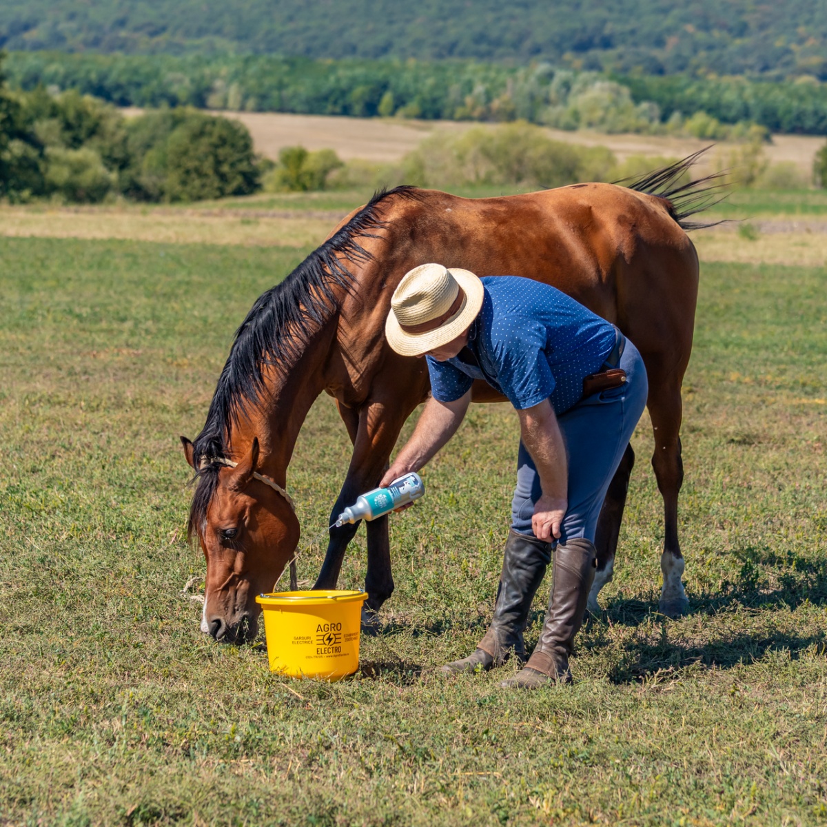 Șampon pentru cai, MagicBrush, 1000 ml