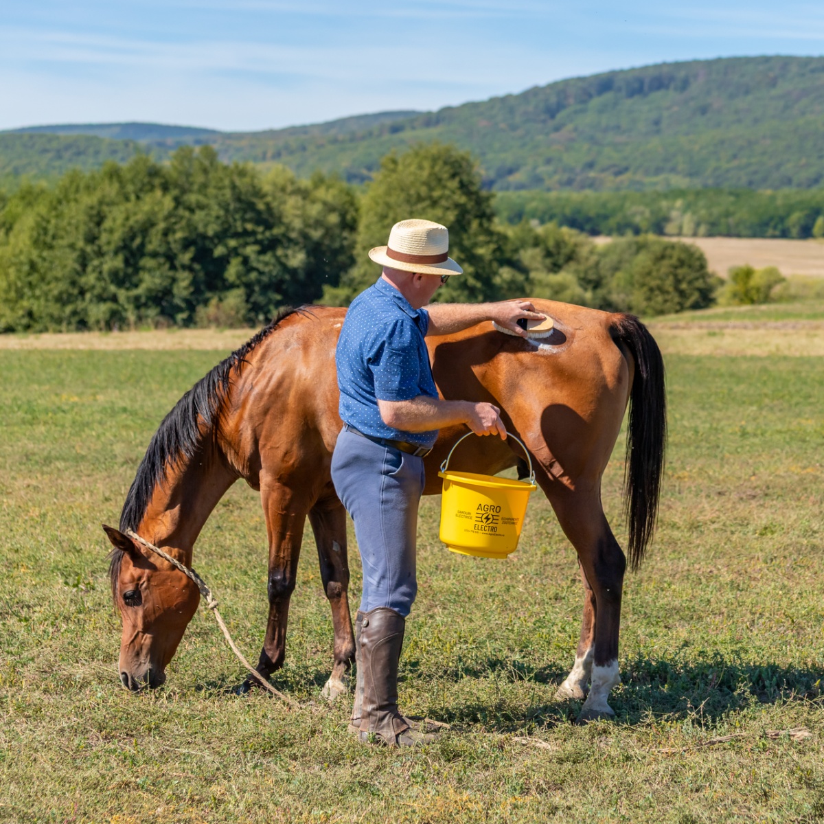Șampon pentru cai, MagicBrush, 1000 ml