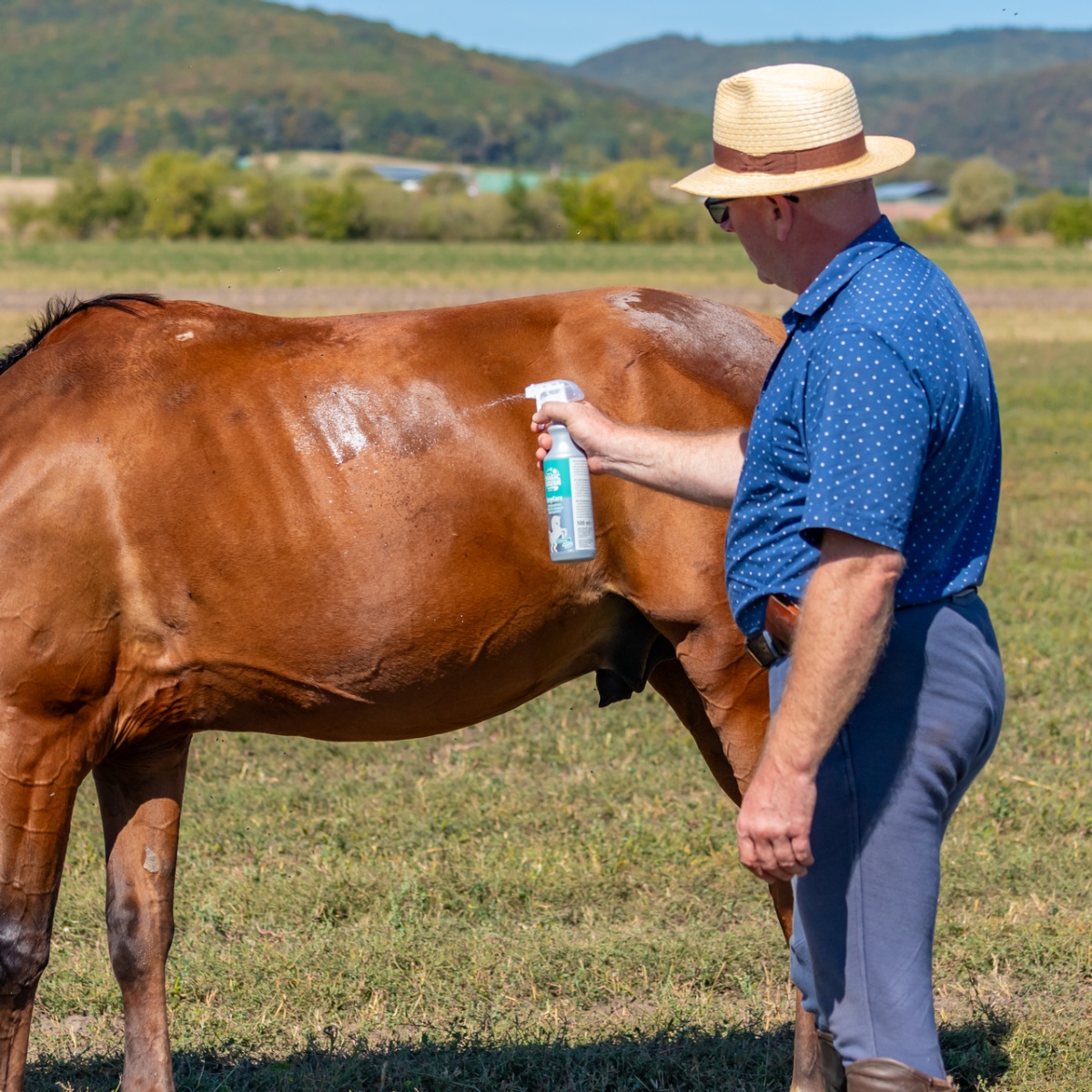 Spray de curățare pentru cai, MagicBrush, 500 ml