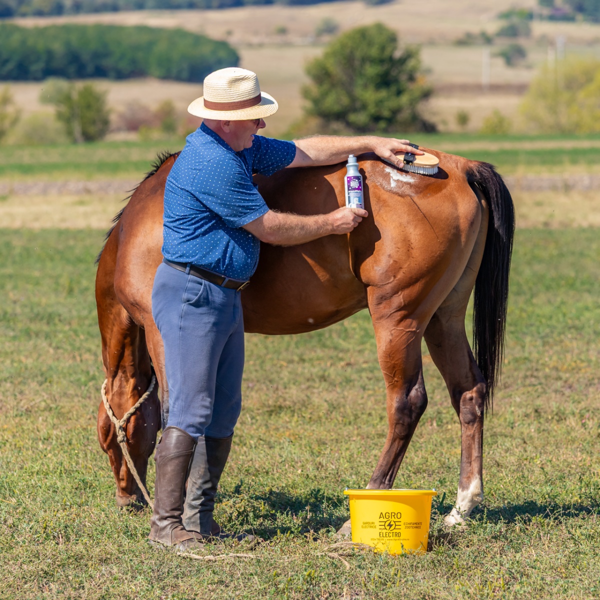 Șampon pentru cai, aromă OrientalNights, MagicBrush, 500 ml