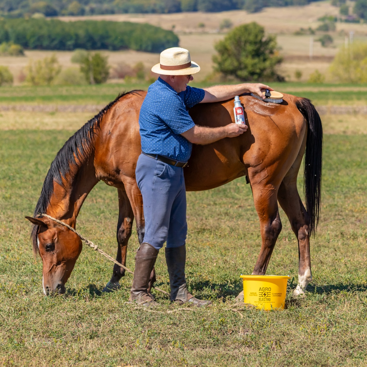 Șampon pentru cai, aromă FrenchKiss, MagicBrush, 500 ml