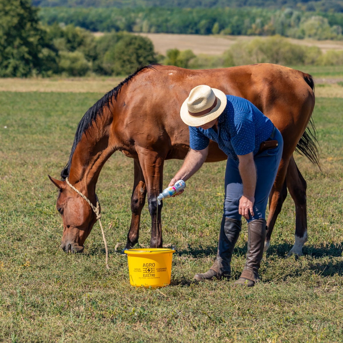 Șampon pentru cai, aromă FruitExplosion, MagicBrush, 500 ml