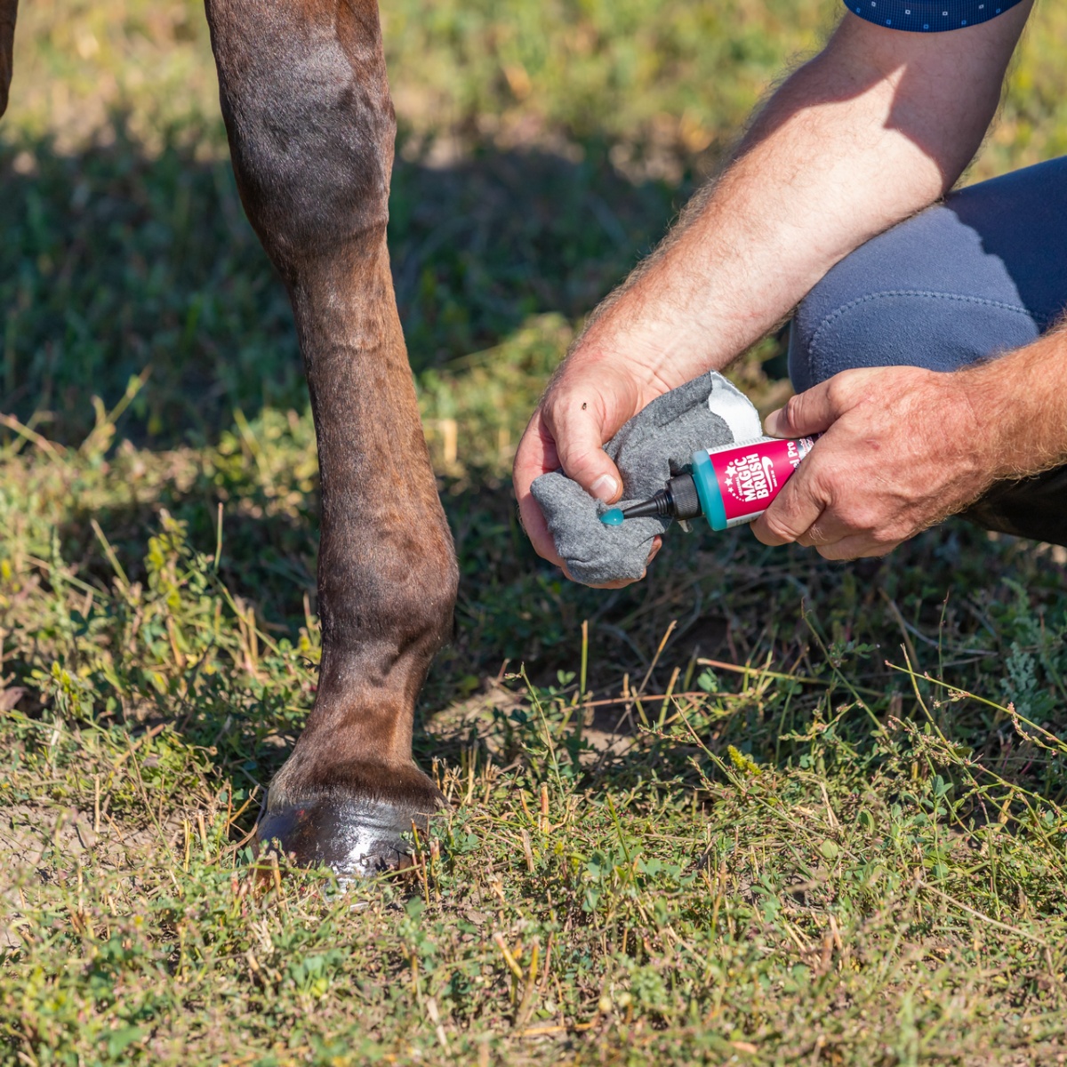 Gel pentru copite cai, MagicBrush, 200 ml