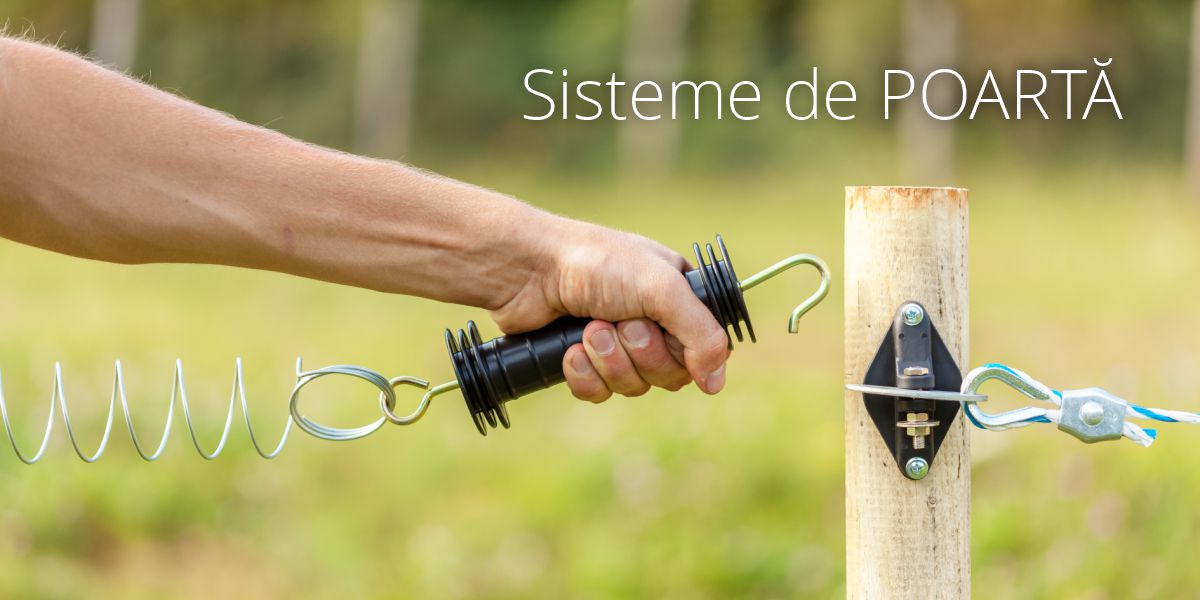 Sisteme de poartă